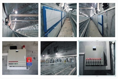 電動(dòng)推桿是怎樣與養(yǎng)殖環(huán)境控制器連接的？